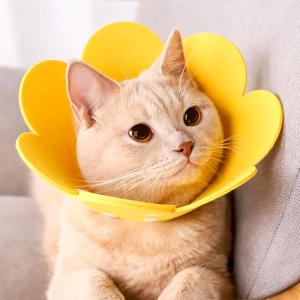 MONLEYTA | Elizabethan Cat Neuter Collar Dog Bite Proof Anti Lick Pet Supplies Cat Neck Ring Dog Scarf Universal Size For All Pets
