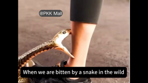 ✨100㎡ No More Snake✨Snake Repellant Fragrance Pack 6g×30packs Snake Repellent for Outdoors