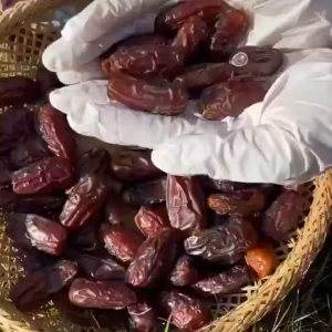 Premium Dubai Dates - Organic Healthy Dried Fruit Snacks with No Added Sugar - 100G/250G