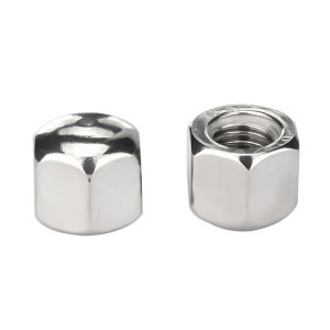 Stainless Steel Cap Hexagonal Low Head Blind Hole Screw Nut