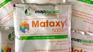 Thuốc trừ nấm bệnh trên cây trồng METALAXYL 500WP (Mappacific Singapore) gói 100G