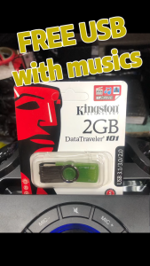 (FREE USB WITH SONGS) Bluetooth Portable Speaker BTS-2187 Brodu 12 Inch Cube Party Speaker with 2 Rechargeable Wireless Microphone