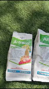 Fungisida Antracol 70wp + Zinc