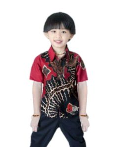 Couple Batik ayah dan anak laki-laki lengan panjang umur 2-12 tahun motif liris kelabang