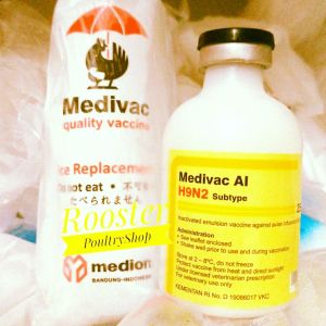Medivac Vaksin Ayam Flu Burung MEDIVAC AI H9N2 isi 25ml