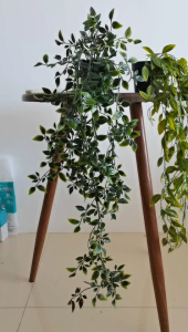 Artificial artificial green plant mandala eucalyptus bonsai pea pod hanging potted scrub decorative bonsai