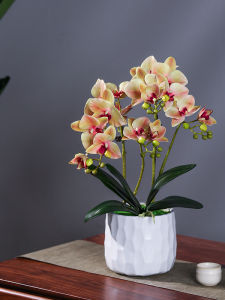 Living Room Dining Table Butterfly Orchid Artificial Flower Arrangement Potted Plant Decoration Fake Flowers Display Home Decor