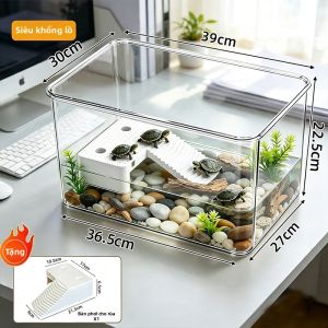 Mabalo | Bể Rùa Mini Để Bàn Thiết Kế Thủy Sinh và Thảm Cảnh
