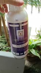 อิมิดาโคลพริด(ฟอร์ไมร์ 10 เอสแอล)ตราเหรียญทอง สารกำจัดแมลงปากดูด และแมลงปากกัดบางชนิด ขนาด 1 ลิตร