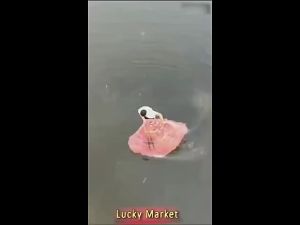 Durable Fishing Net: A Comprehensive Buying Guide