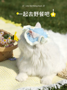 Cute Knitted Cat Headwear Pet Hat Dog Head Cover Circle Cartoon Baby Cat Accessory Funny Pet Supplies Cat Dog Leash Circle