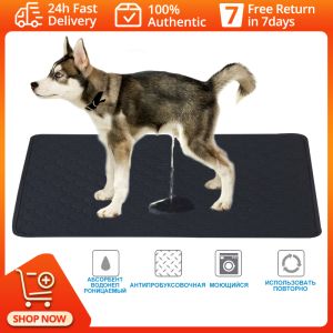 Washable Dog Pee Pad & Reusable Dog Diapers: A Comprehensive Guide