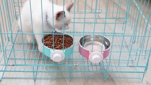 Stainless Steel Pet Cage Hanging Food Water Bowl