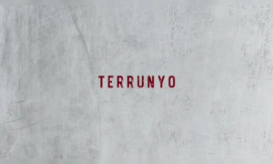 Carmenere 2019 Terrunyo Peumo Vineyard Block 27 Cachapoal Valley Chile Red Wine 750ml ABV 14%