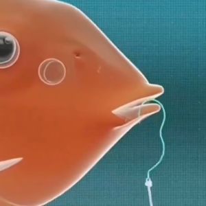 Kail Otomatis Untuk Ikan Mas Galatama Stainless Steel Baja Chrome Anti Karat Boncos Moncel Flip Hook