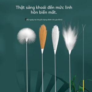 Feather and Silver Needle Ears Cleaning Tools