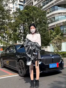 AISEO Foldable Car Sun Umbrella Shades for Windshield Sun Shade Cover UV Protection Heat Insulation Car Interior Front