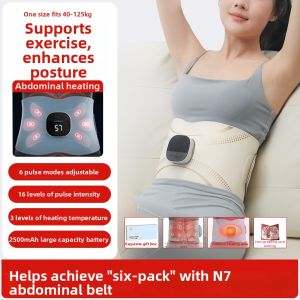 MEOJIE | Heated Lumbar Support Belt