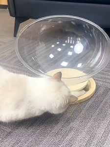 Space Capsule Cat Bed Semi-enclosed Acrylic Cat Dog House 2-in-1 Cat Bed Solid Wood Turntable Toy Pet Nest