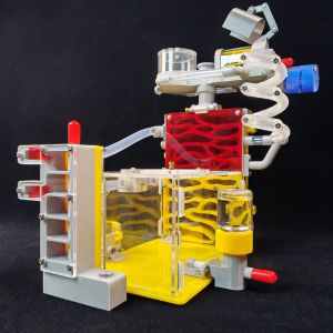DIY Ant Nest Villa with Feeding Area Acrylic Insect Cage for House Ants Farm Pet Mania Insect Anthills