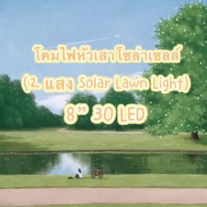 โคมไฟหัวเสา โซล่าเซลล์ (2แสง SOLAR LAWN LIGHT) 8"30LED
