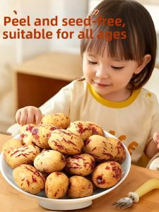 WENXIANGZAN | Peeled Pitted No-rinse Dried Dates
