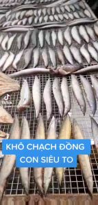 Khô Cá Chạch Loại 1 Con To Béo- Vựa Khô Minh Triết