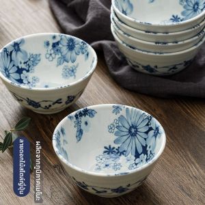 Mino-yaki Underglaze Colored Ceramic Bowls and Dishes