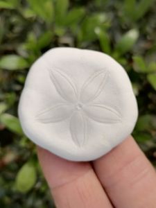 White Sea Urchin Shell Sand Money Sand Coin Biscuit Sea Urchin Rare Specimen Creative Home Decoration Handicraft DIY Material