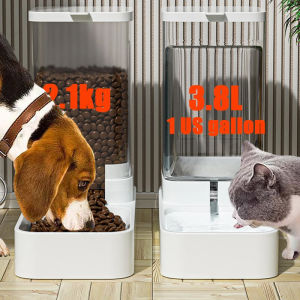 Pet Automatic Feeder Water Dispenser For Dog Waterers Bowls Bowl Feeding Basin Food Container Drinking Fountain Bottle