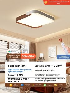 PAIMIJI | French Vintage Style Eye-Protective Ceiling Light