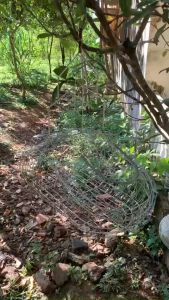 Lồng bẫy chim chào mào chim chòe inox mẫu mới