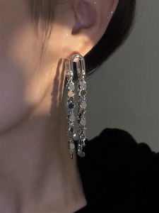 High-End Tassel Earrings for Women New Arrival Luxury Lightweight Long Design Alloy Silver Plated Gold Plated Jewelry