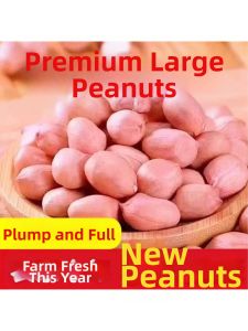 Fresh Green Large Peanuts