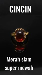 Cincin Pria Wanita Batu Merah Siam Ring Emas Mewah Berkualitas