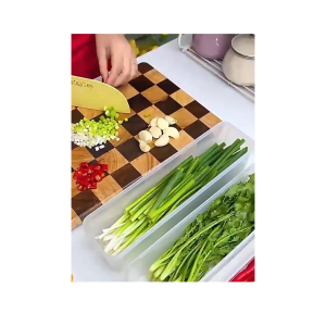 Hộp nhựa đựng thực phẩm tủ lạnh Hộp trữ đông bảo quản rau hoa quả mì đồ ăn nhựa an toàn sức khoẻ-HAUSE