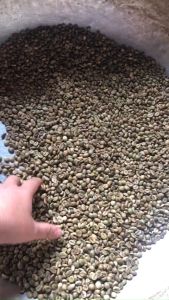 Cafe Mộc(ROBUSTA)Rang Truyền Thống
