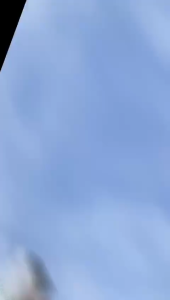 15 KAPSUL OBAT CHINA DIABETES KAPSUL LABU DIABET DIACONT KAPSUL KONTROL GULA DARAH BPOM HALAL