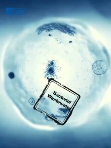 🐠The water is crystal clear🐠 Netrifying Bacteria Water Quality Clarifier Agent 550ml do not harm the fish Aquarium Cleaner Improve water quality safely To Keep Water Crystal Clear Purify the fish tank deodorize Aquarium Bacteria