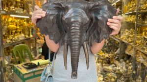 Đầu Voi Bằng Đồng Thau Màu Nâu Treo Trang Trí Đẹp