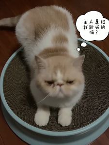 ที่ฝนเล็บแมว ของเล่นแมว รูปปูน่ารัก ขนาด 31 cm. มีสมุนไพรน้องแมว