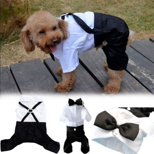 Pet Clothes Dog Strap Small Suit Prince Tuxedo Bow Tie Suit Pet Clothes for Outdoor