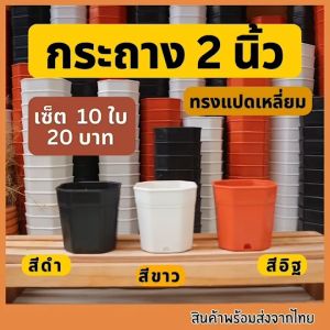 แปดเหลี่ยม 2 นิ้ว **ชุด 10ใบ 20บาท** กระถางแคคตัส กระถางต้นไม้ กระถาง2นิ้ว