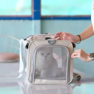 Portable Foldable Cat Tent Pet Carrier Handheld Tote Bag Crossbody Large Capacity Backpack for Cats Medium Small Dogs
