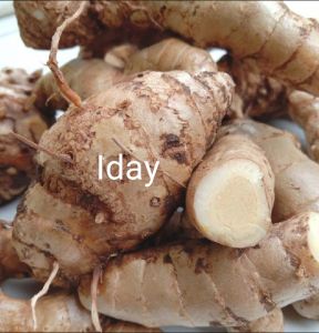 temu putih asli / kunyit putih obat herbal 1kg temu putih asli bersih