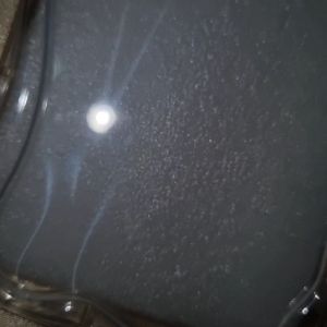 Gelombang Case Tecno Spark 30C & Tecno Spark Go 1: Soft Case Clear & Melting Kekinian