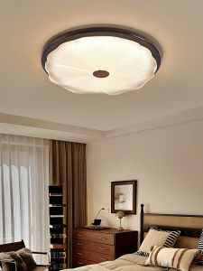 DGY | Retro Eye-Protection Ceiling Light
