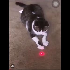 Laser Cat Stick New Cool 2 In1 Red Laser Pointer Pen With White LED Light Play Cat Toy