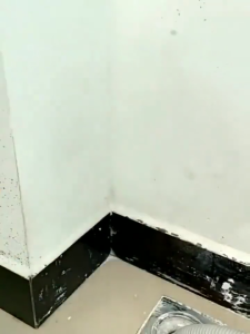 Mold Remover Spray wall mold removal cleaner antifungal cleaner Removal/Anti-mould 2-in-1 Fast-Acting Formula for Walls & Tiles | Kills Mold & Prevents Regrowth