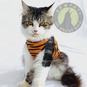 Baju Kucing Motif Macan Harimau & Kostum Hewan Peliharaan
